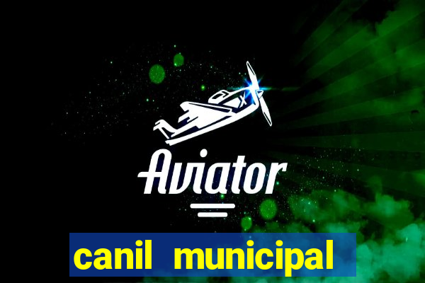 canil municipal porto alegre